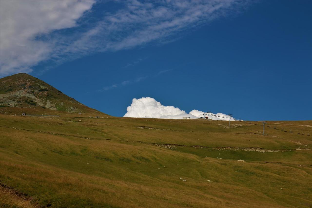 Cabana Transalpina 兰卡 外观 照片