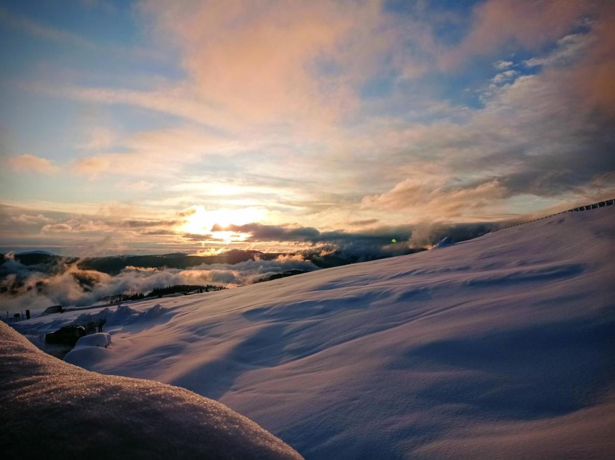 Cabana Transalpina 兰卡 外观 照片