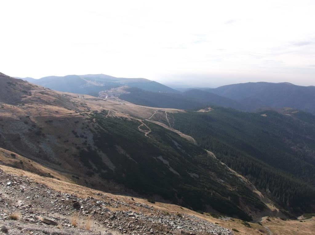 Cabana Transalpina 兰卡 外观 照片